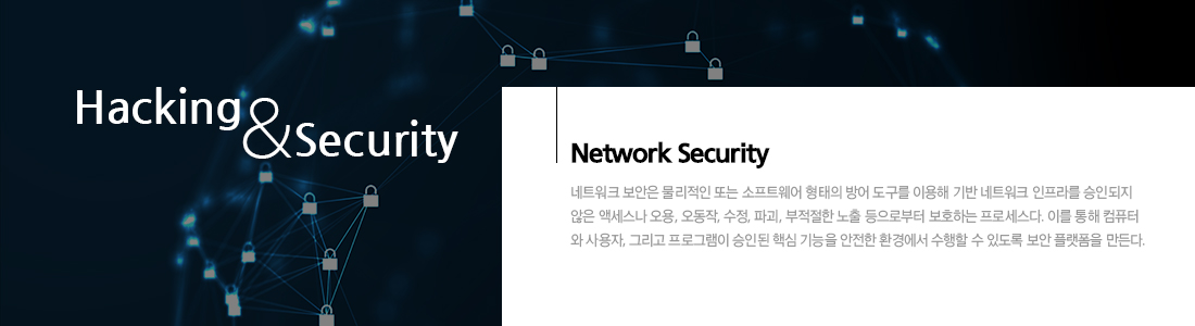 네트워크해킹 & 보안